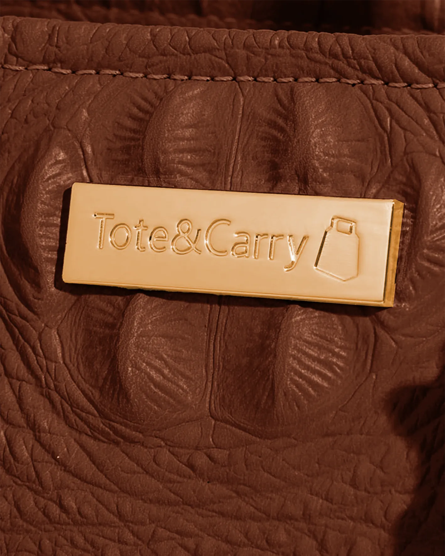 Apollo 2 Mini Tote Bag in Chocolate