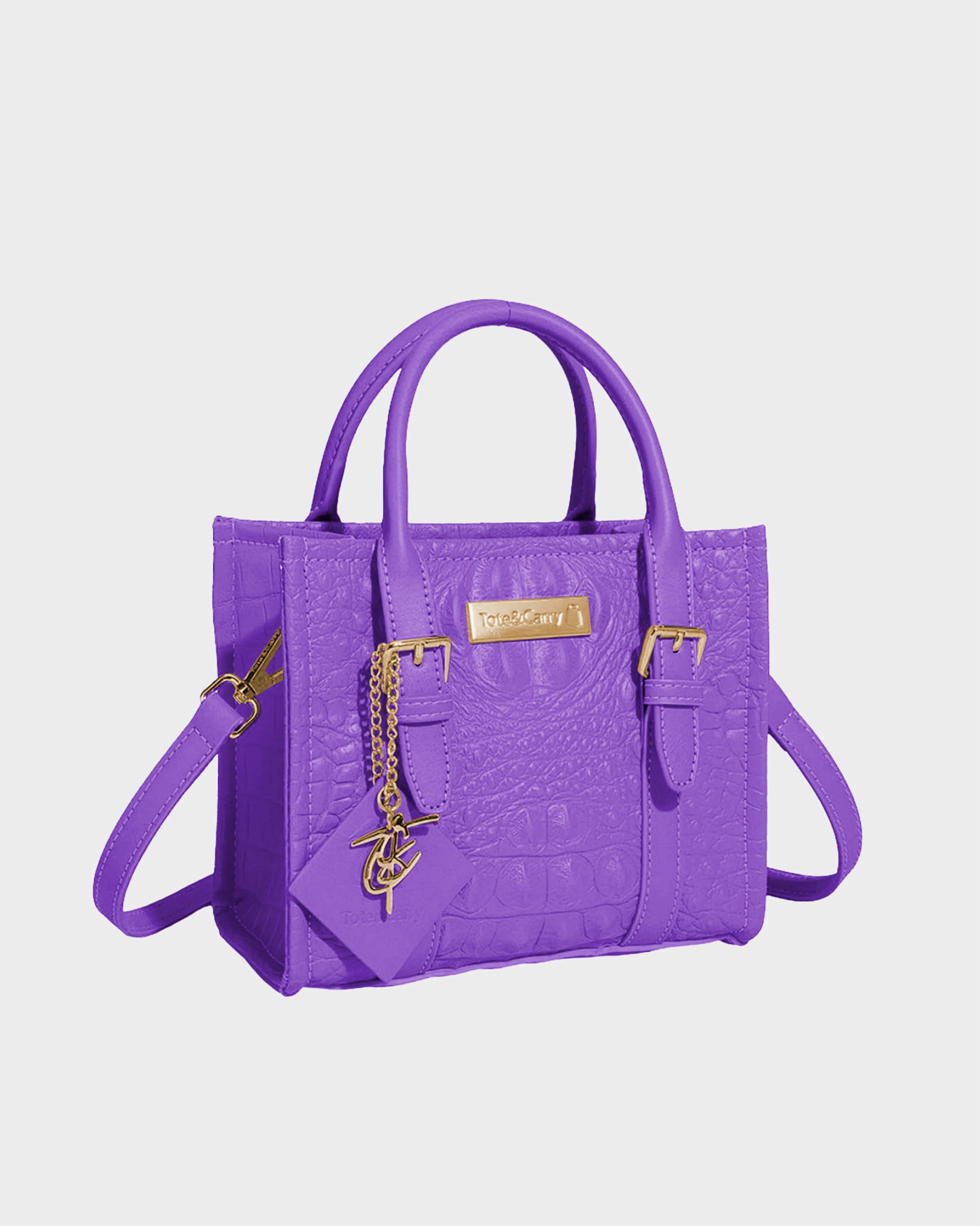 Apollo 2 Mini Tote Bag in Lavender