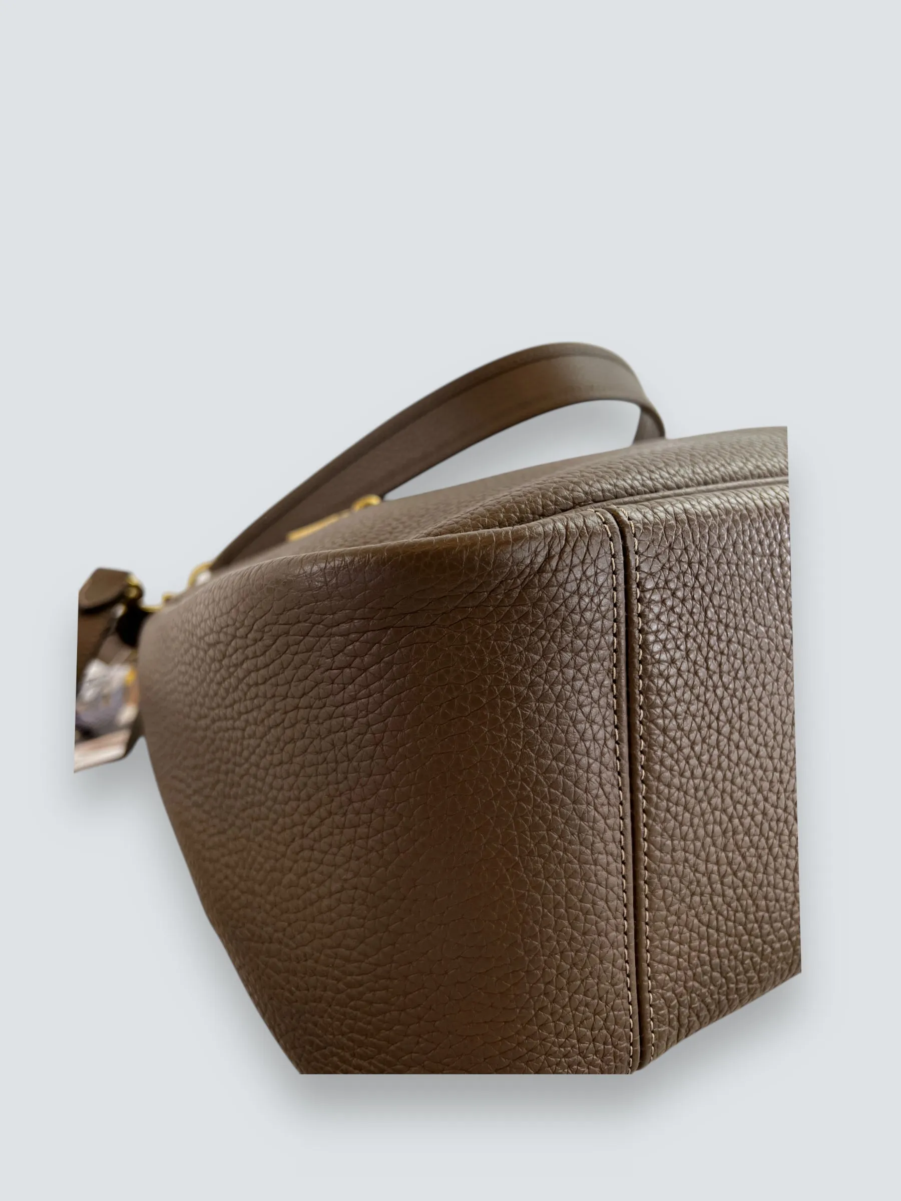 Coach Brown Leather Cary Tote