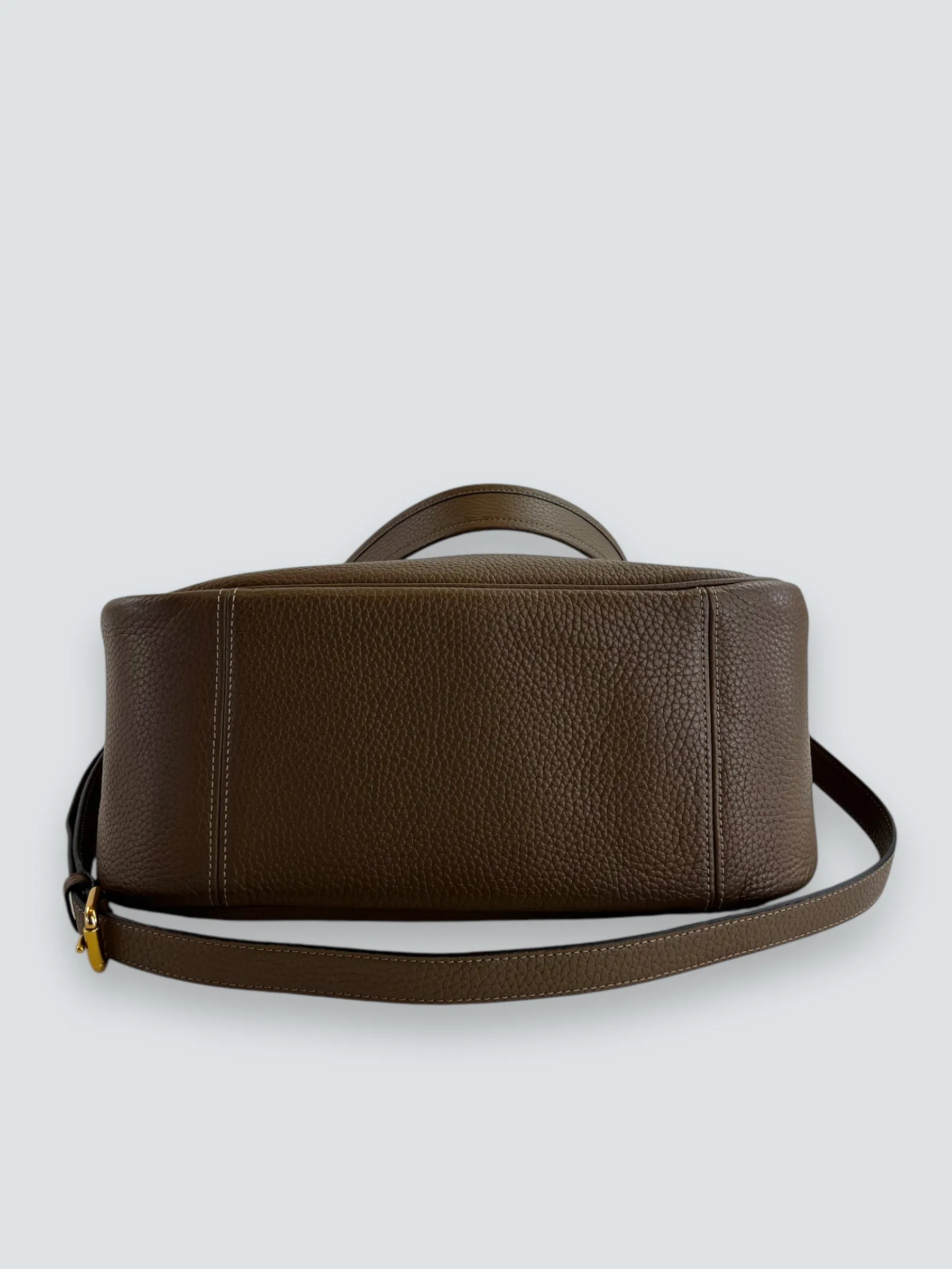 Coach Brown Leather Cary Tote